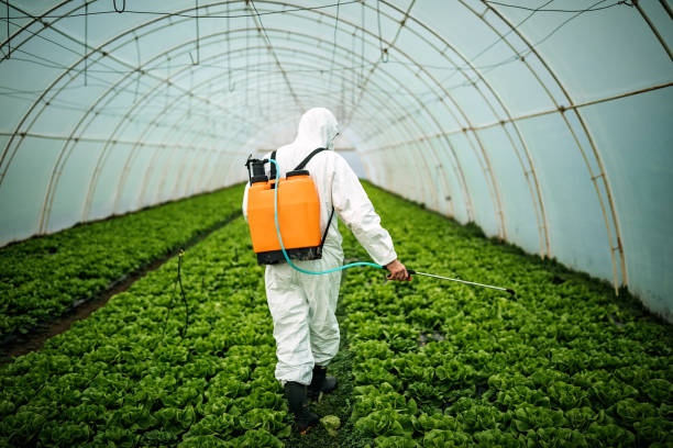 Best Commercial Pest Control Services  in Bainbridge, GA