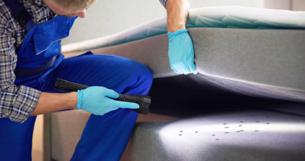 Best Pest Control Near Me in Bainbridge, GA