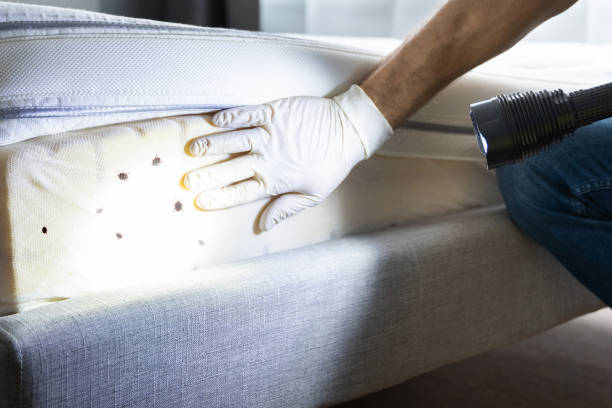 Best Best Pest Control Companies  in Bainbridge, GA