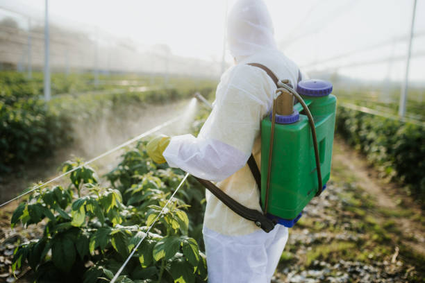 Best Wasp Removal Services  in Bainbridge, GA